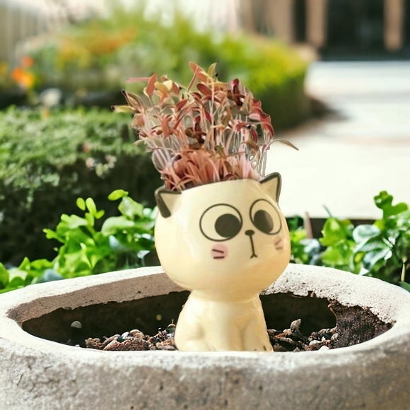NEW! Adorable ceramic cat-shaped planter - Picture 5 of 5
